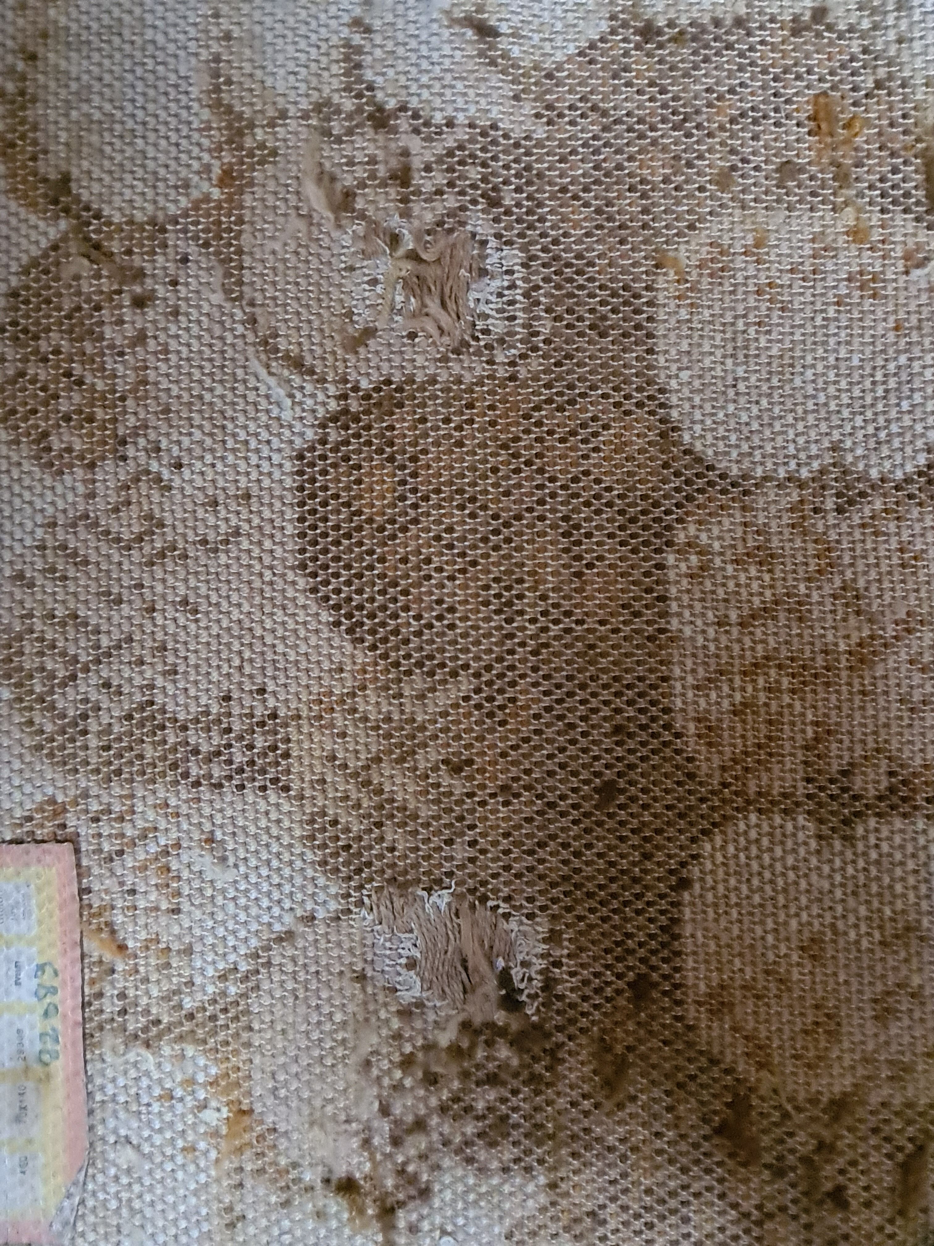 Vintage carpet Desso, 1970 , 137x70