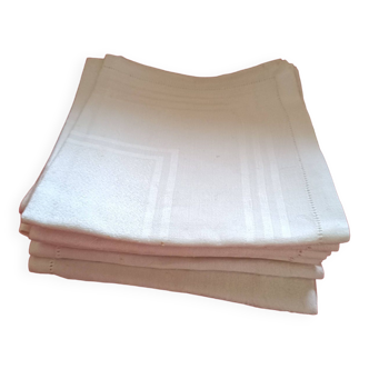 7 Damsée napkins with handmade small day border.
