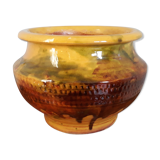 Flower pot planter with indoor plants