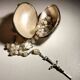 Old mother-of-pearl rosary in its egg box
