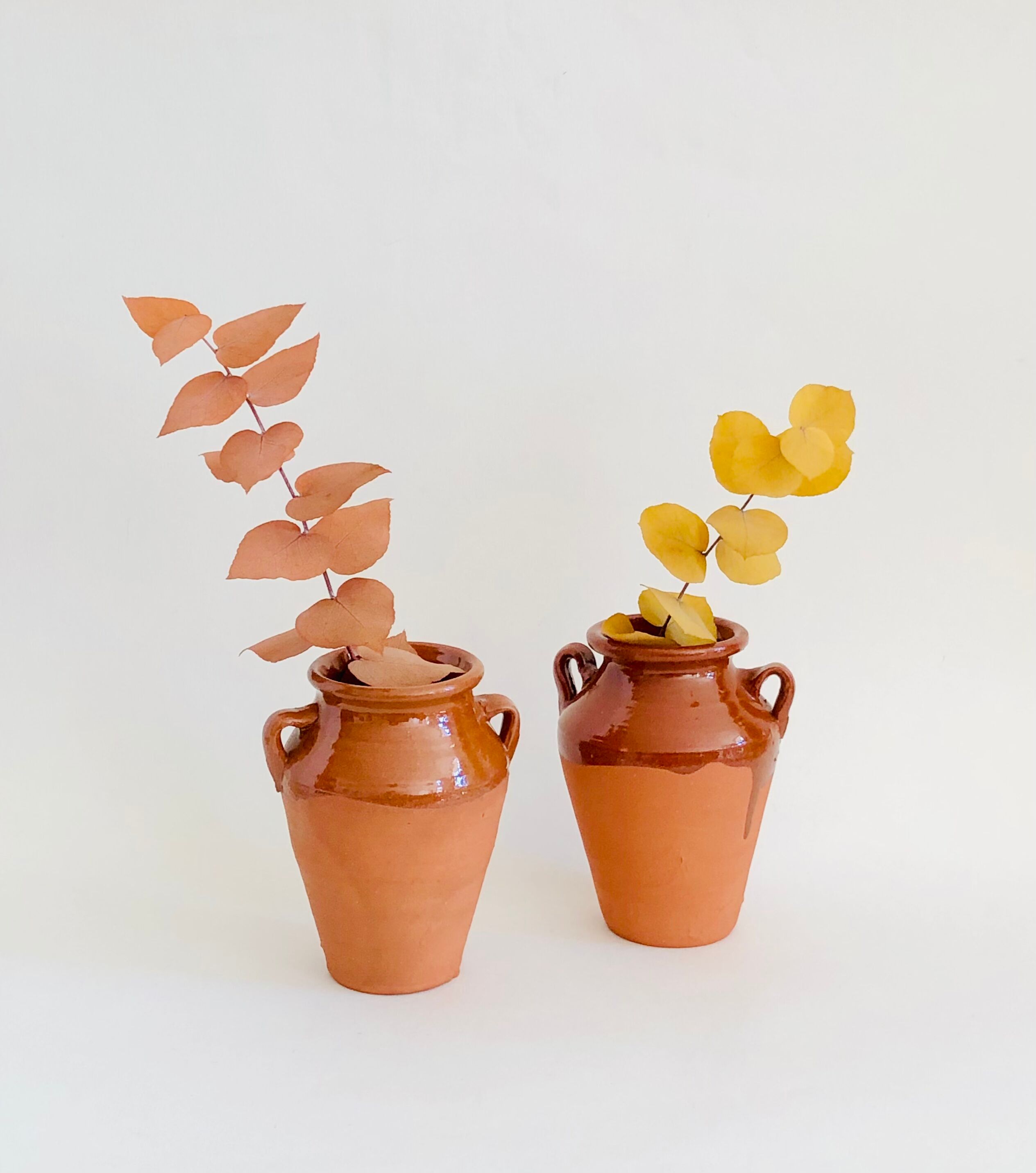 Pair of terracotta amphora vases