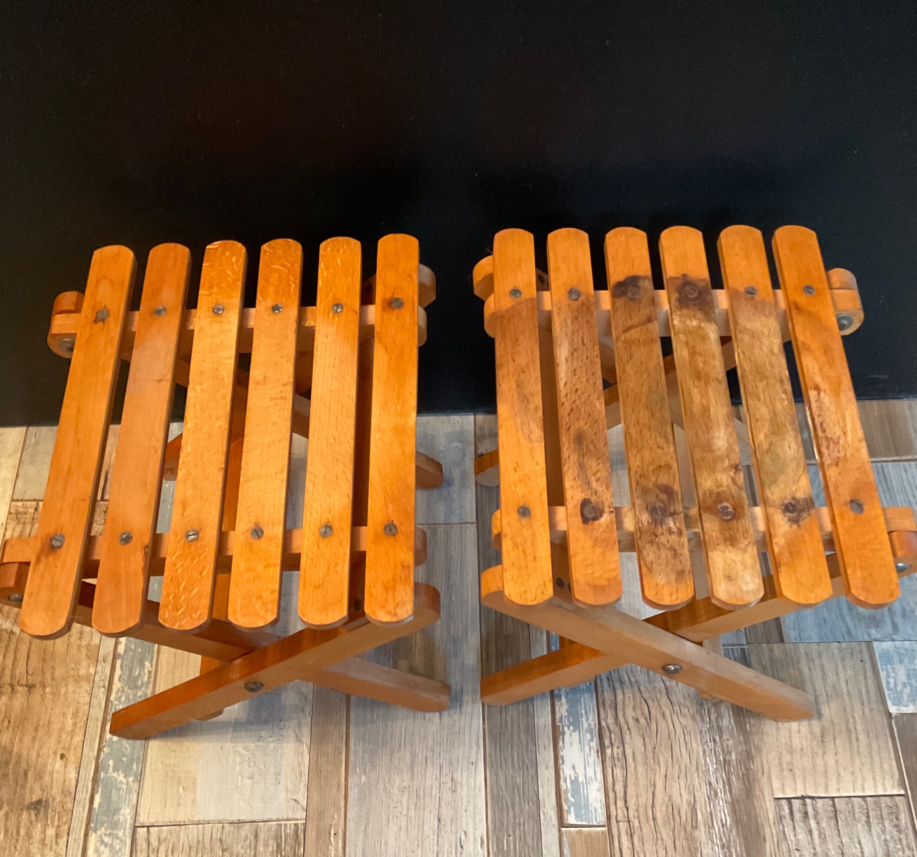 Duo of vintage folding wooden plant doors