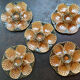 Sarreguemines oyster slip plates