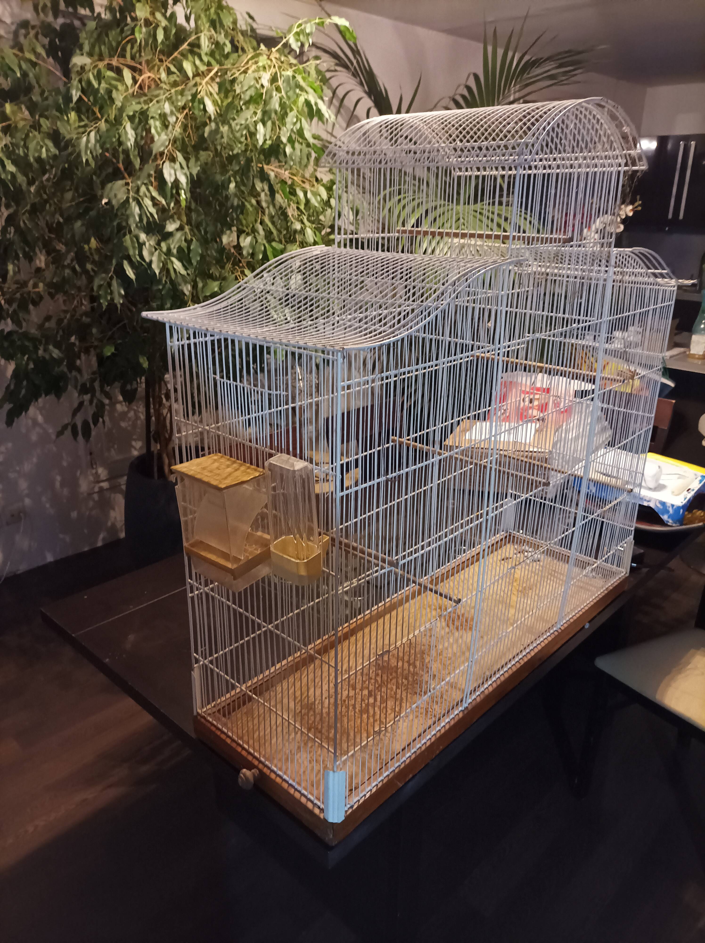 Large old restored bird cage
