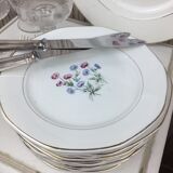 12 antique dessert plates made in France Digoin Sarreguemines