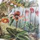 Gravure botanique de 1909 - Orchidée - Planche allemande ancienne