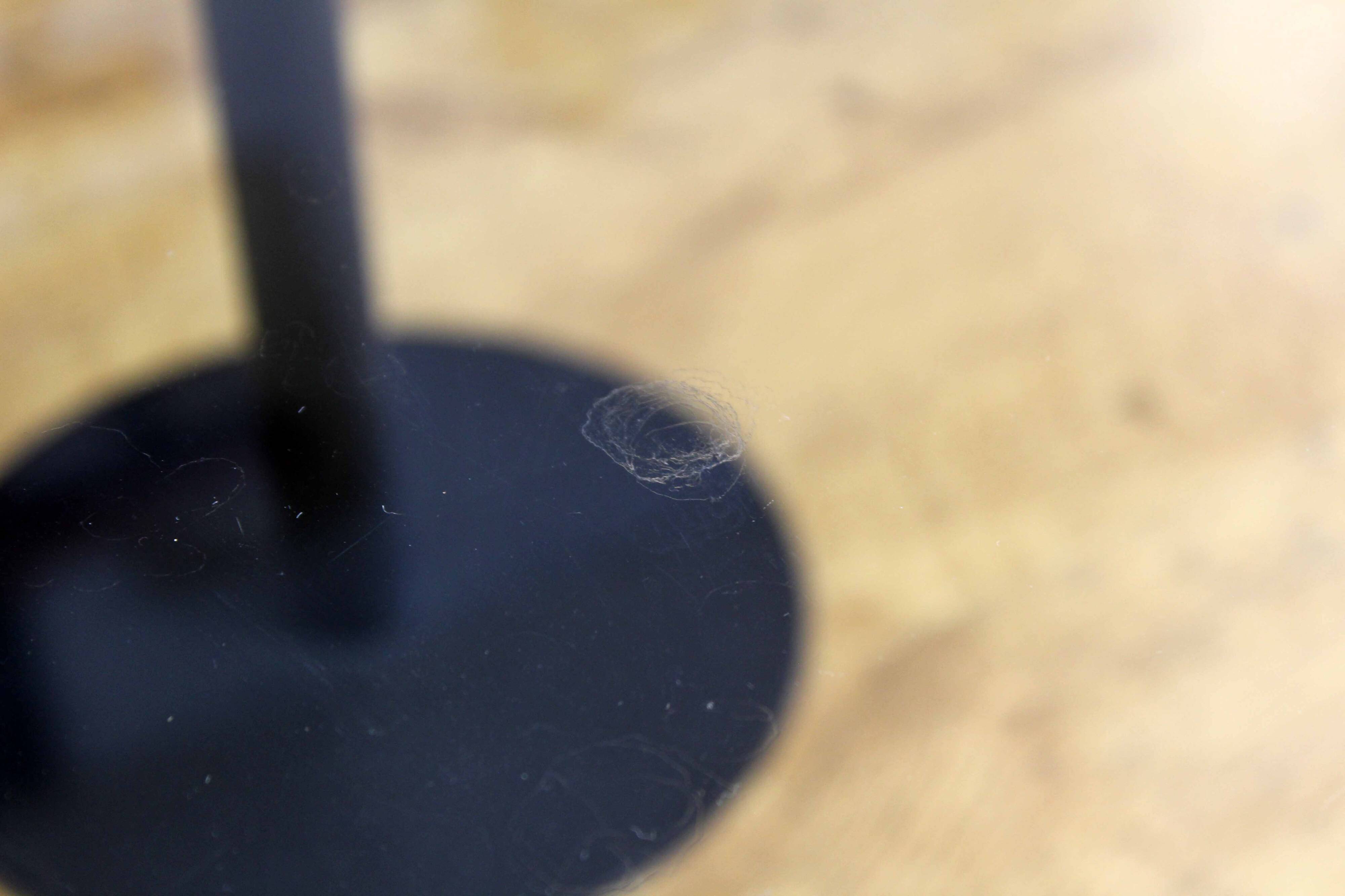 Pepper Young coffee table by Philippe Starck