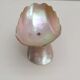 Antique ring sizer – Empty pocket – Mother-of-pearl, early 20th century