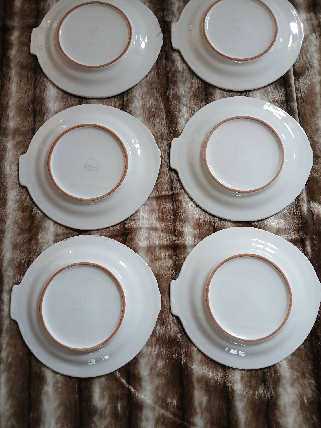12 flat plates in earthenware/fish