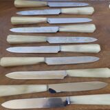 Box of 24 knives