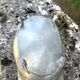Footed pewter champagne cooler on claw feet with floral relief
