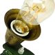 Early 20th century night lamp