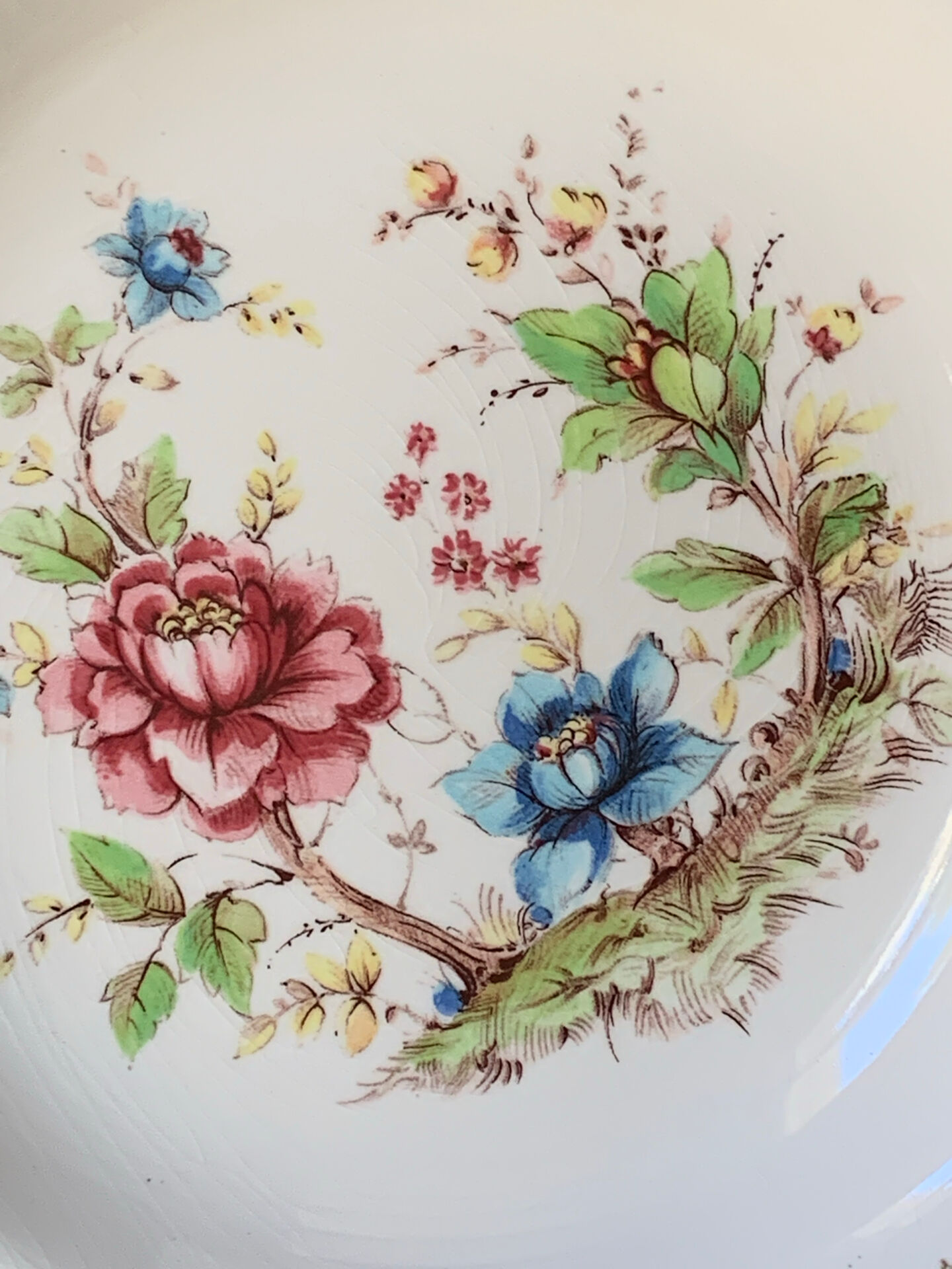 Six assiettes creuses 1960 Sarreguemines modèle Eden