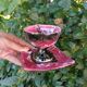 Coffee Cup Set - Vallauris