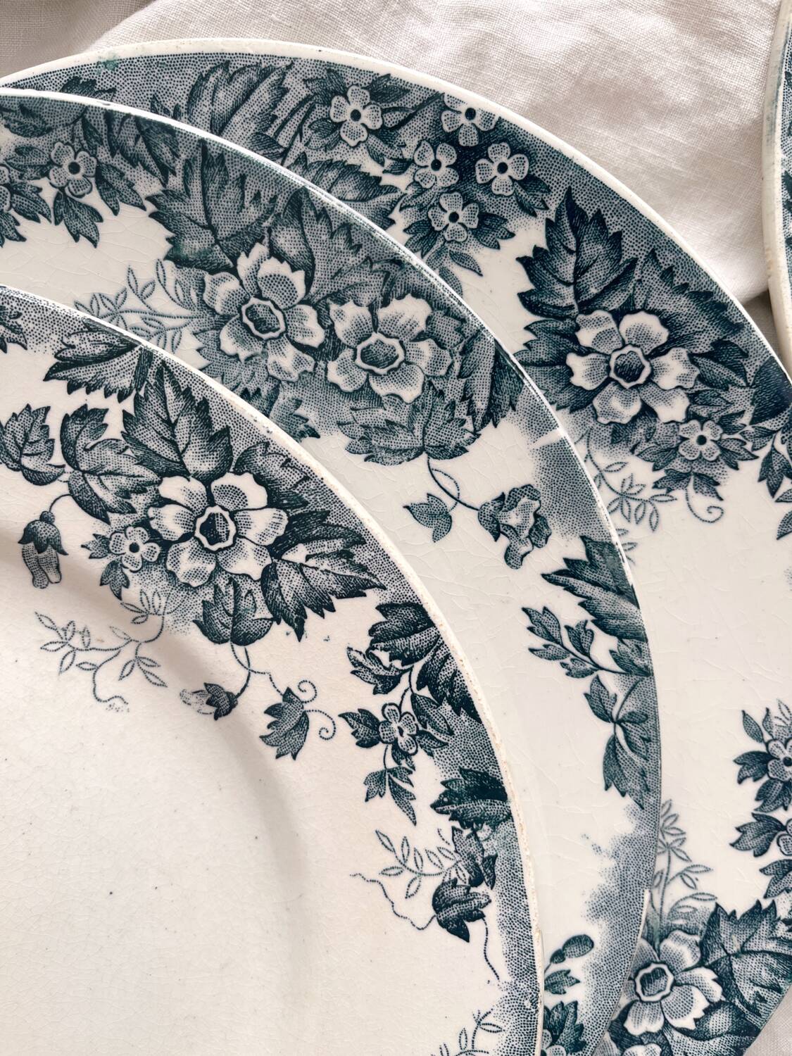 8 flat ironstone plates “Marie Louise” Saint Amand and Hamage
