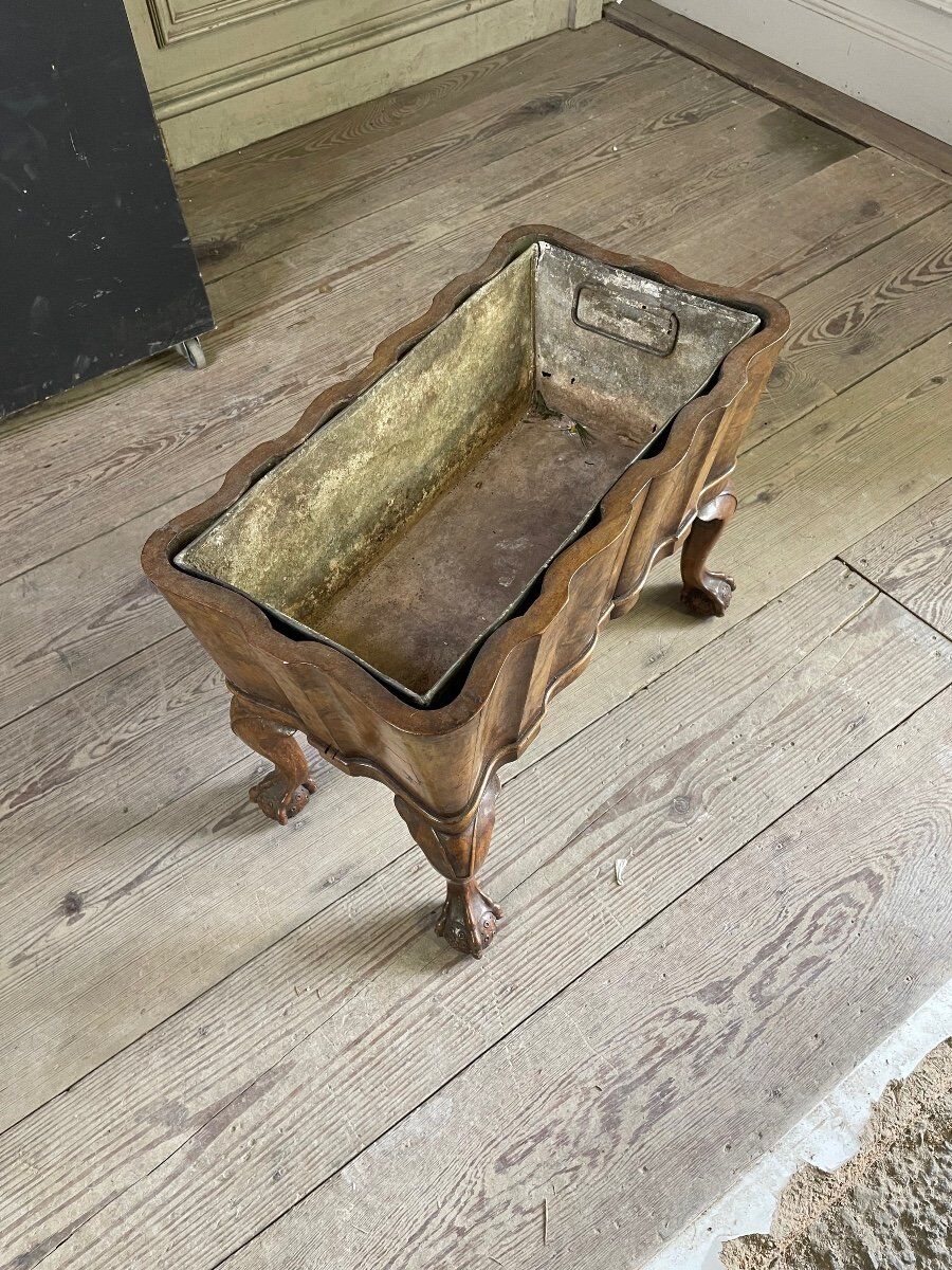 Planter in walnut, england circa 1880