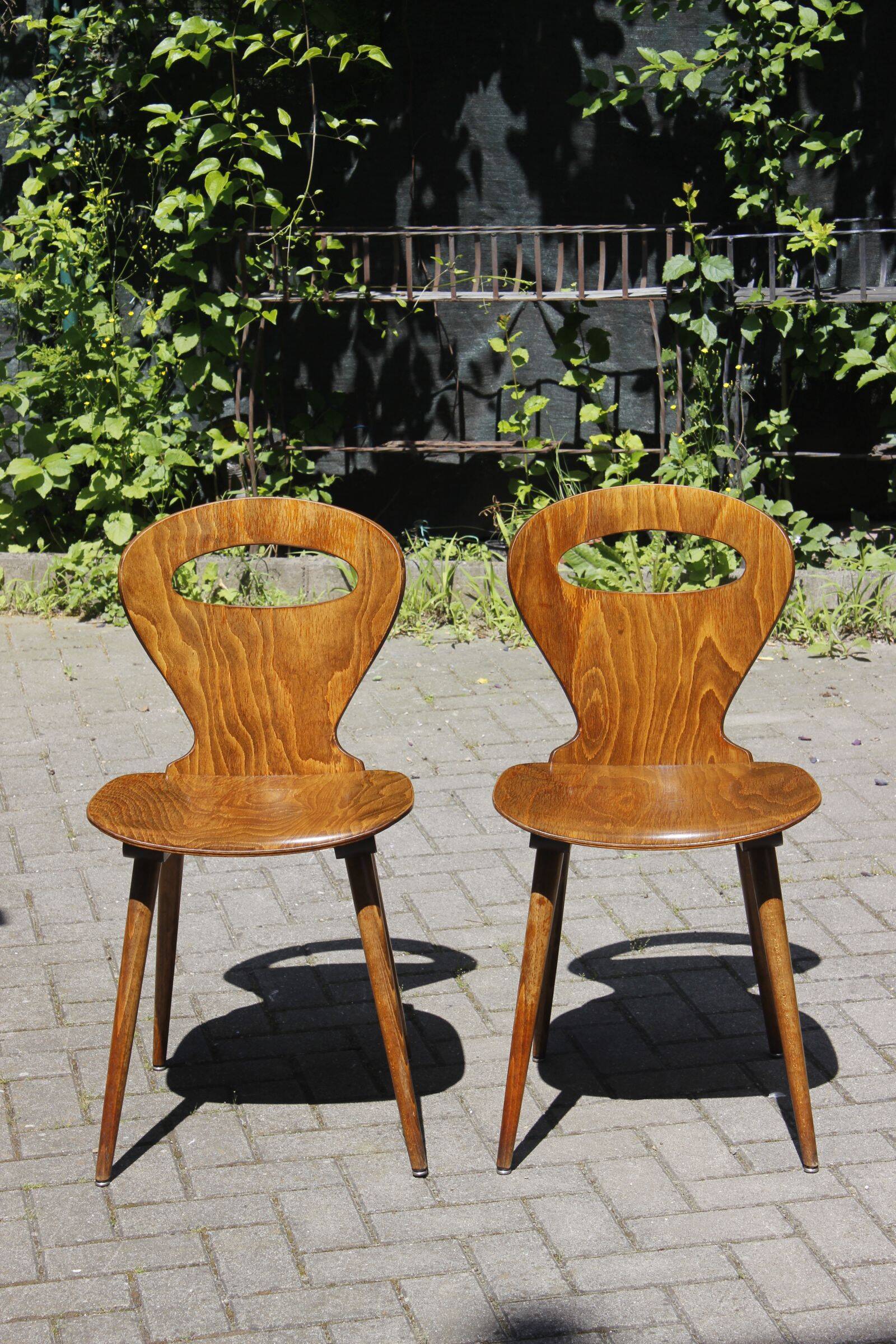 Pair of "Fourmi" bistro chairs Baumann France 1960s