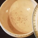 Old Hyppolyte Boulanger Creil and Montereau tureen in iron earth.