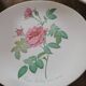 8 oval plates Salins – 1970s – Botanical roses