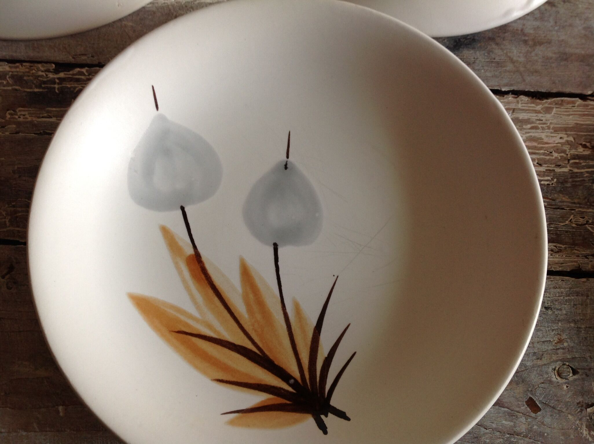 Set of 11 soup plates