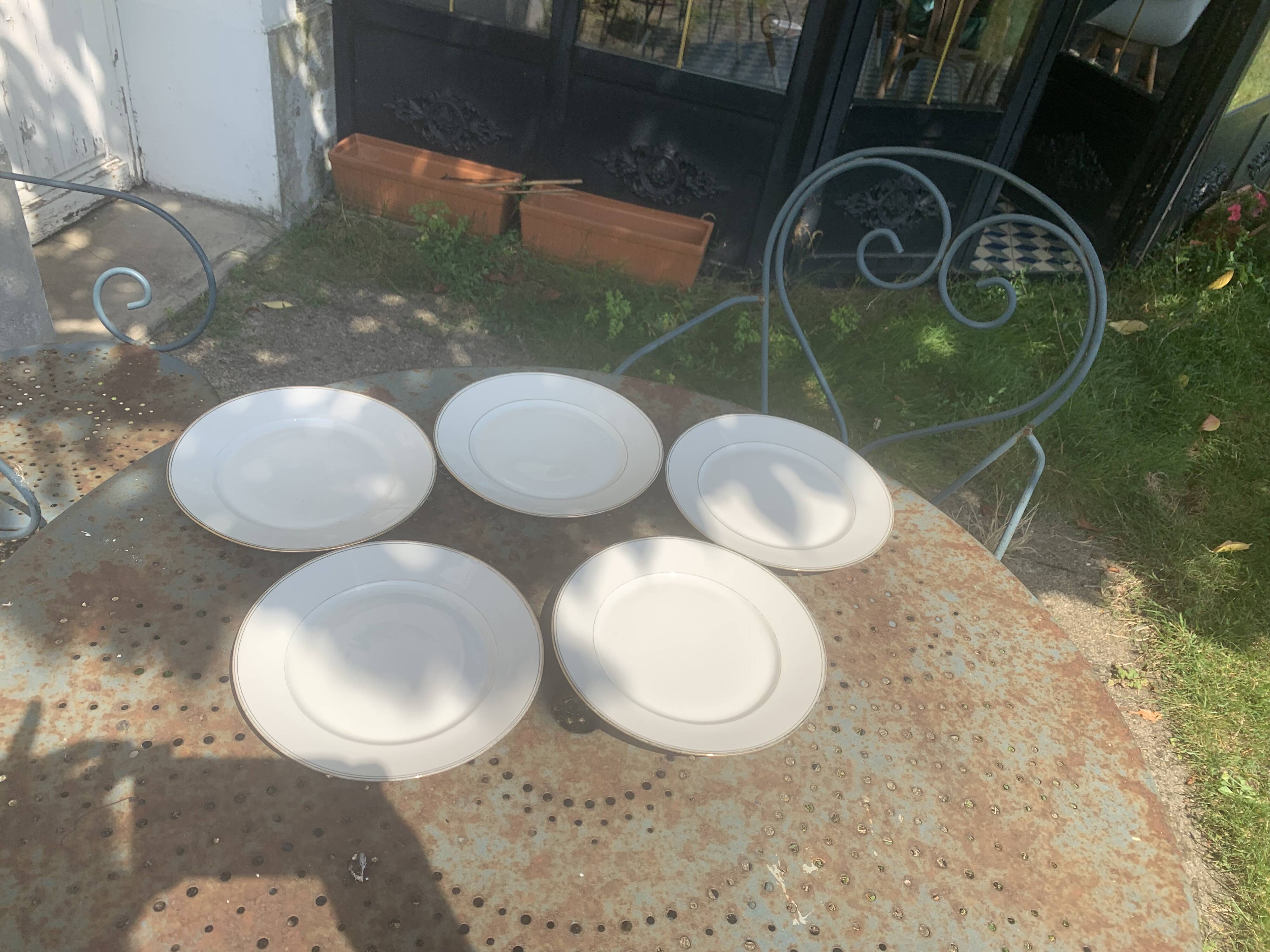 5 Limoges porcelain dinner plates stamped Limoges France