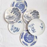 Vintage blue dinner plates