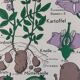 Vintage educational wall hanging roll chart biology