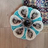 Moulins des loups oyster plate