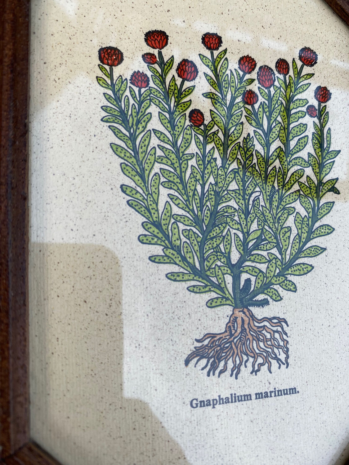 Duo botanical boards