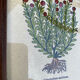 Duo botanical boards