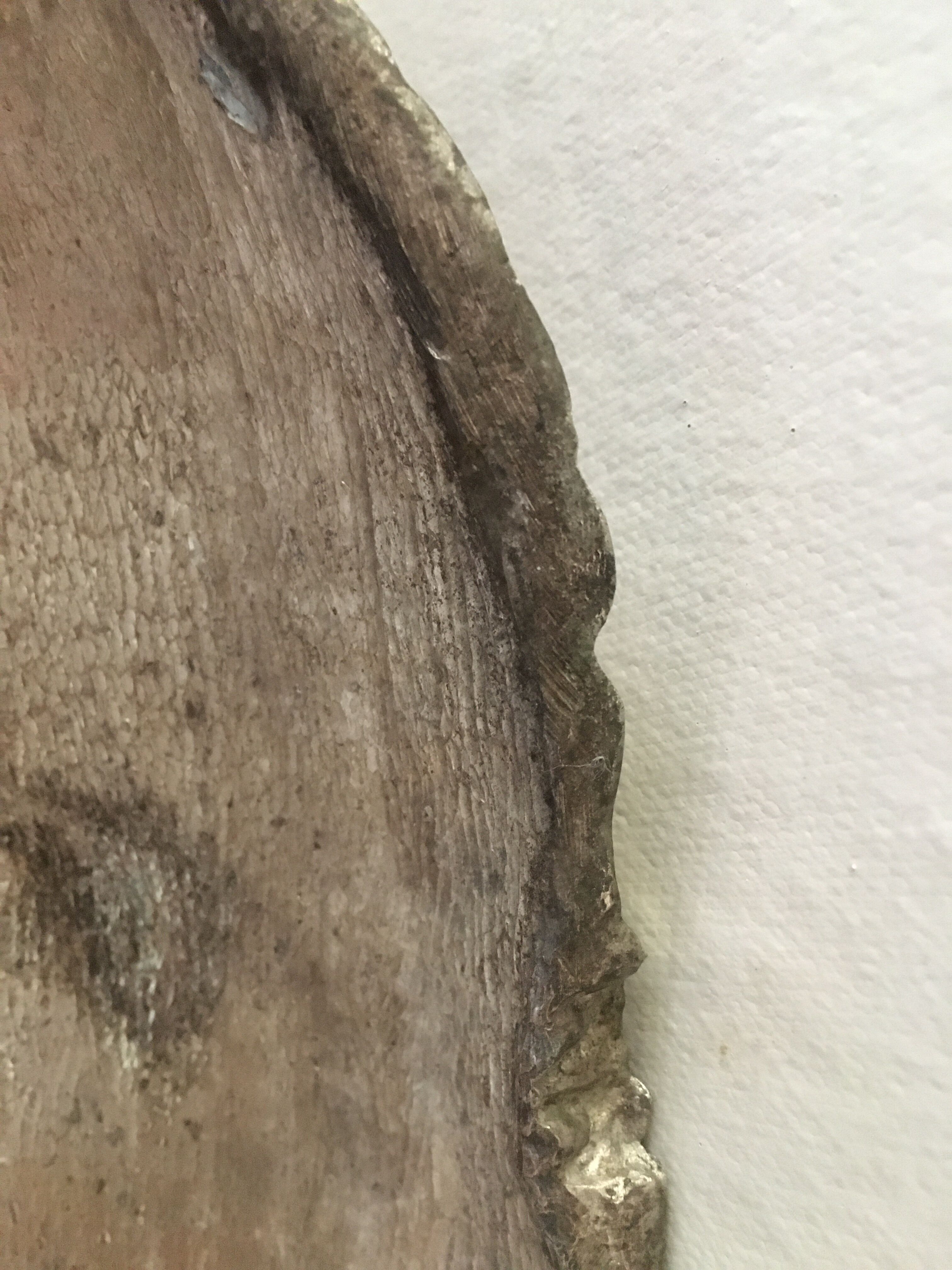 Silver metal box in crab shape