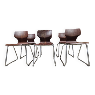 Lot 6 chaises empilable Flötotto pagwood 1960
