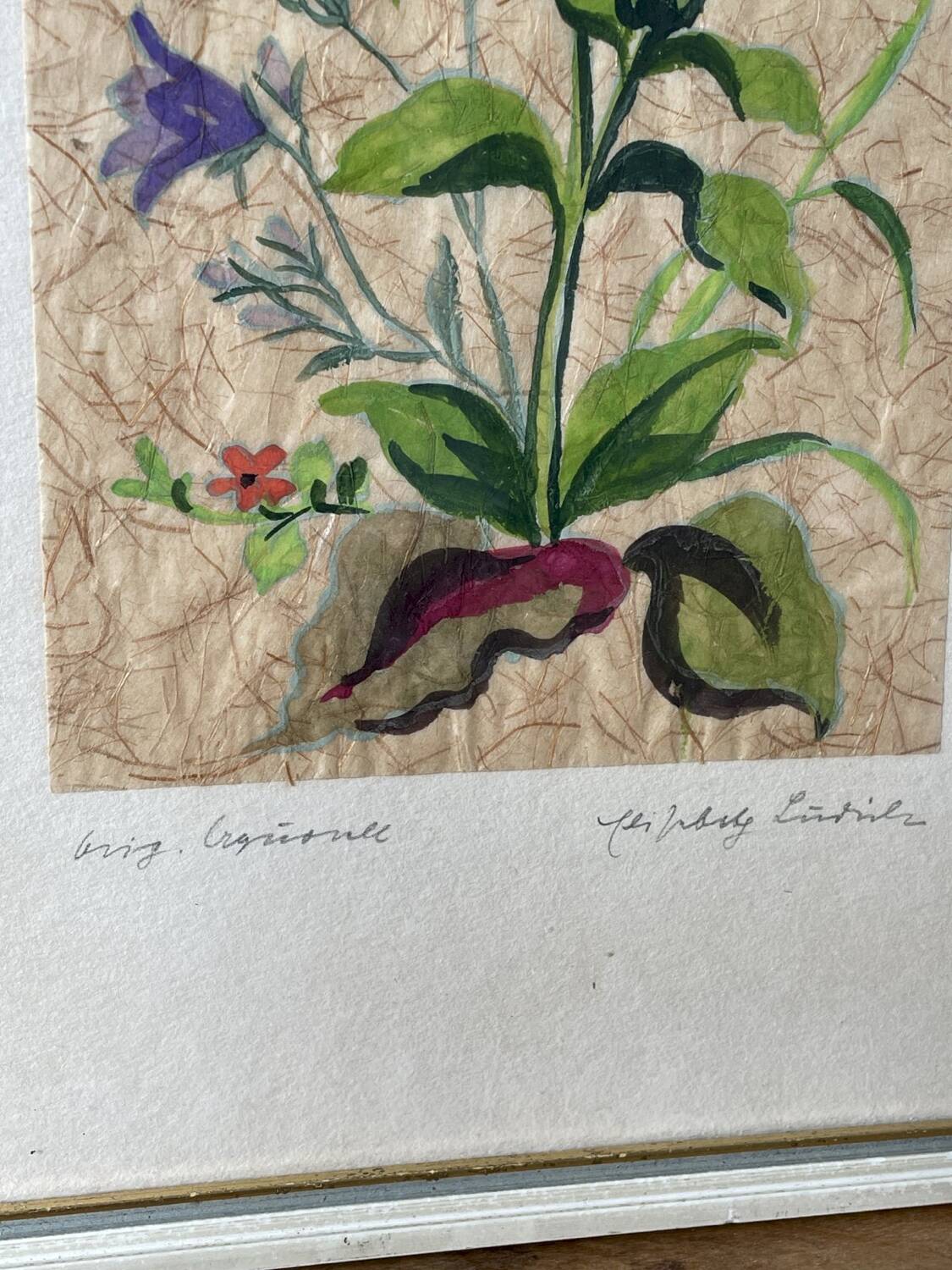 Painting on Japanese paper, herbarium style, 20 cm x 37 cm
