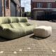 100% Original Ligne Roset Aralia by M. Ducaroy