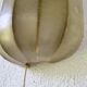 Cocoon Wall Light Friedel Wauer for Goldman Germany