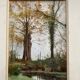 Peinture sur papier le sous bois brouillard d'automne signee jean paul barre