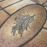 Round oval ceramic coffee table by Barrois Vallauris, 1960, herbarium model