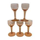 Set de 5 verres à liqueur roses