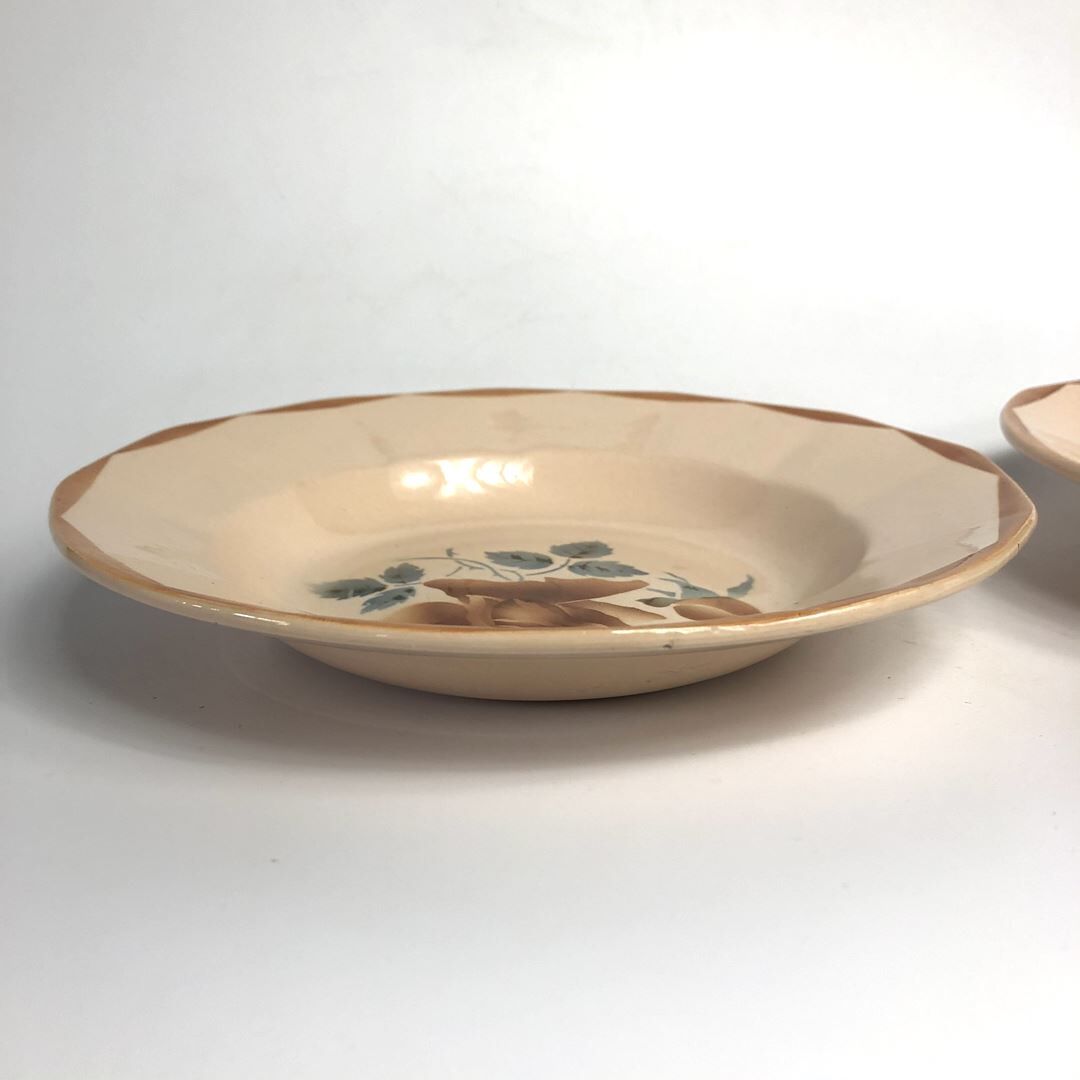2 old hollow plates Digoin Sarreguemines