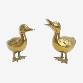 Couple brass ducks