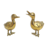 Couple brass ducks