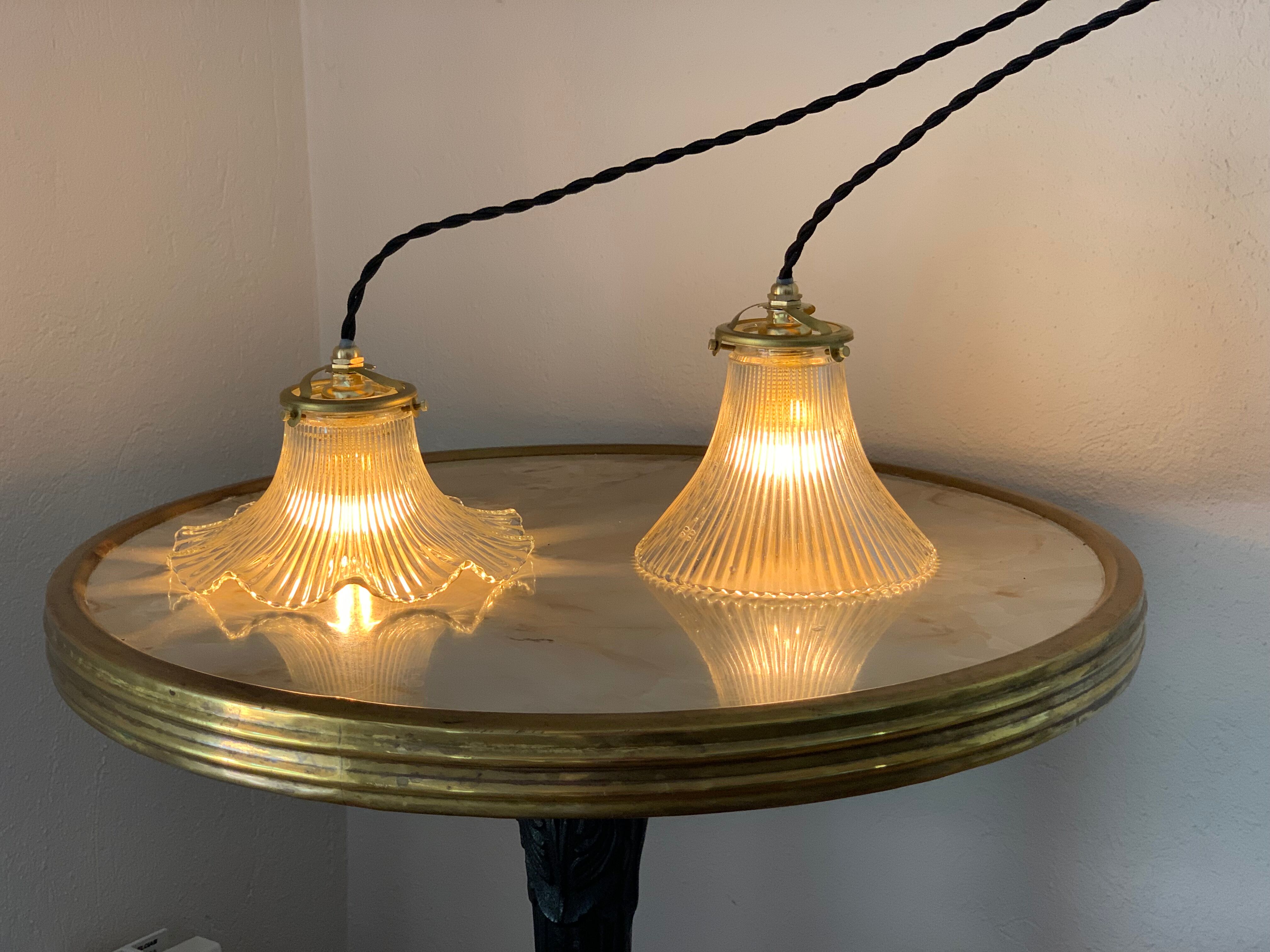 Duo lamps Holophane floral style