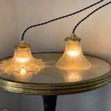 Duo lamps Holophane floral style