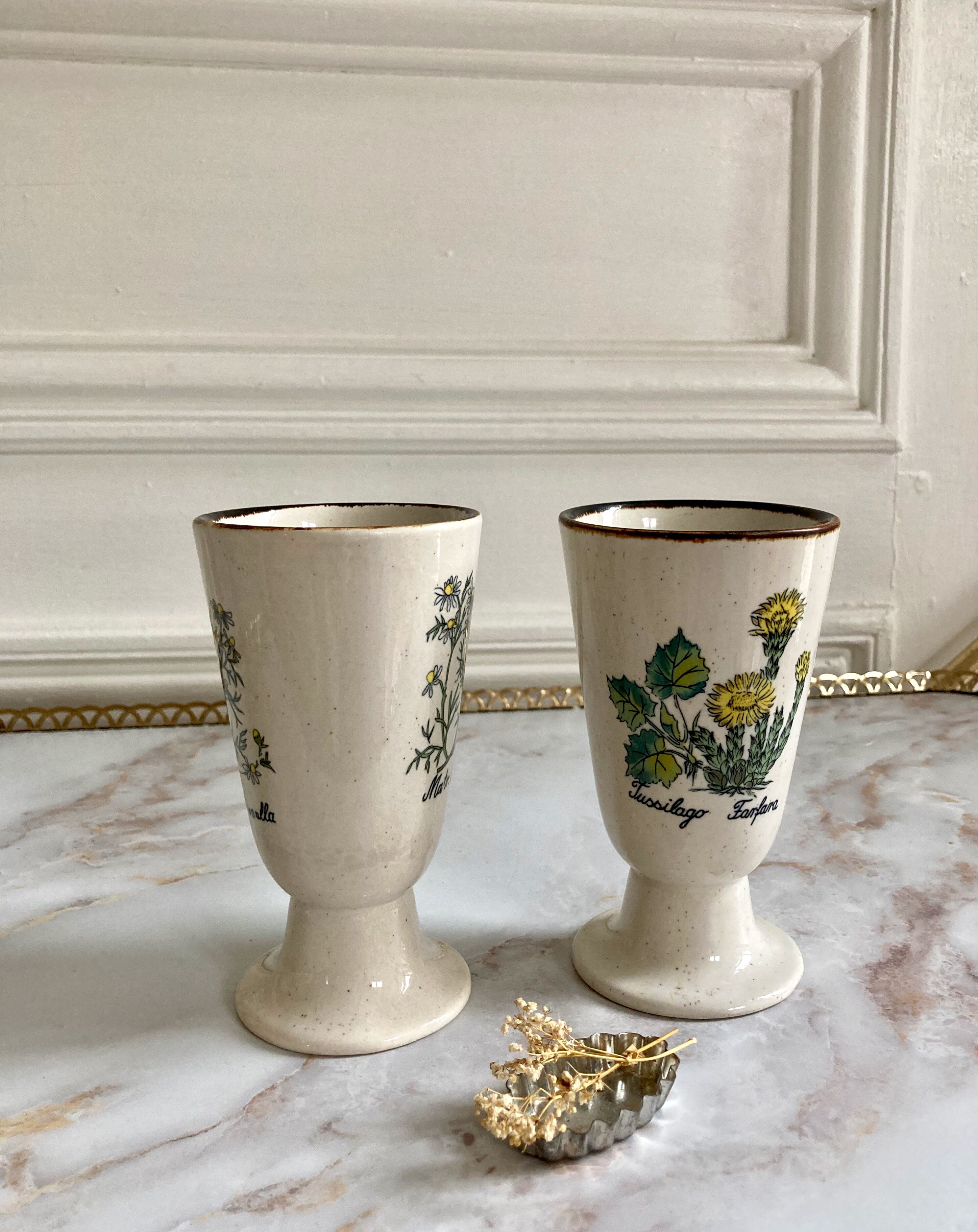 Paire de mazagrans tasses herbier