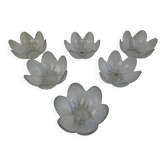 Set of 6 Bohemia Glass Flower Dessert Bowls, Czechoslovakia, circa 1960