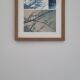 Cyanotype encadré