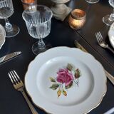 Mismatched set of 6 rose motif plates