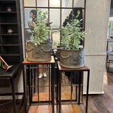 Pair of cast iron planters