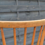Pair of chairs by Lucian Ercolani
