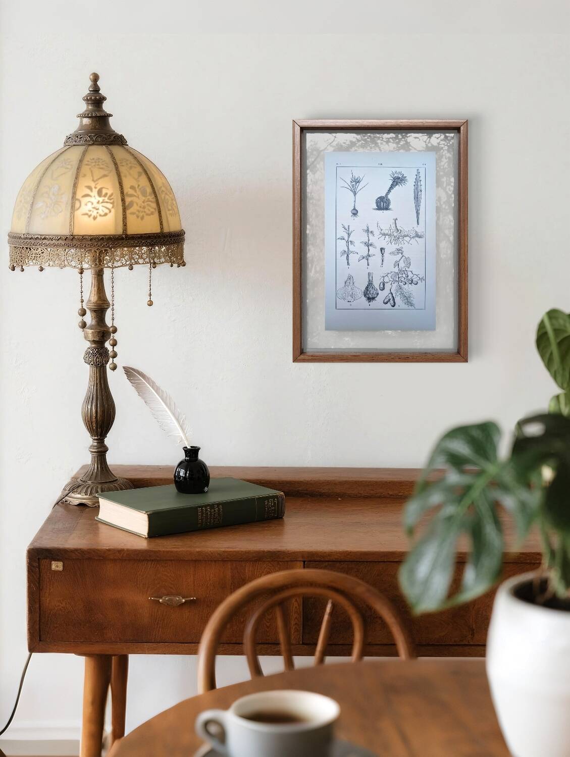 Vintage botanical plate printed in 1889, the stems.